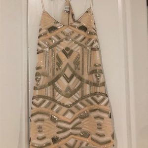 Saylor Embellished Blush Dress